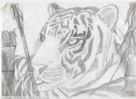 En este tutorial te explicaré como dibujar un tigre de bengala o blanco bonito fácil pa. Tigre algo mas realista Mª Teresa Estudillo Ramos - Artelista.com