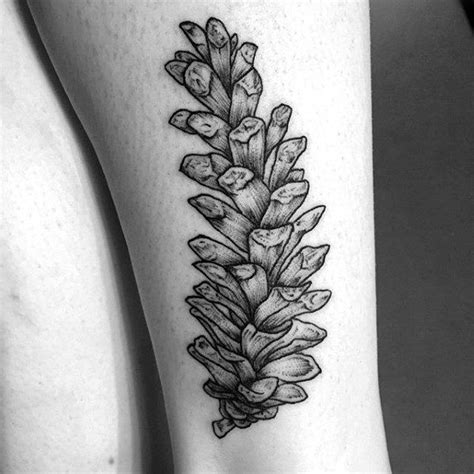 60 Pine Cone Tattoo Designs For Men Evergreen Ink Ideas Tattoo
