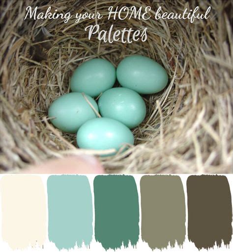 8 Best Robins Egg Blue Paint Images In 2020 Robins Egg Blue Paint