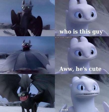 Ideas How To Train Your Dragon Funny Tumblr Night Fury How Train Your Dragon How To Train