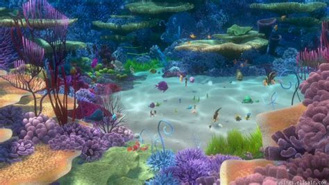 Finding Nemo There Are 37 Trillion Fish In The Ocean