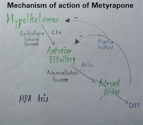 Pharmacology Of Drugs April 2018