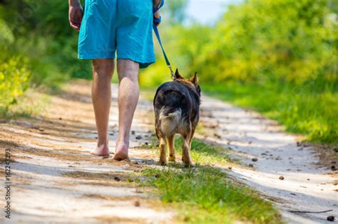 Man Walking Barefoot With A Dog On Dirt Road In Summer Stock Photo