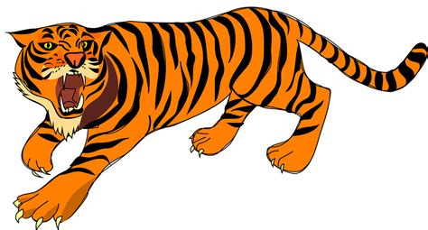 Kumpulan gambar lucu kartun hewan gambar gokil. Koleksi 45 Gambar Animasi Hewan Harimau HD Terbaik ...