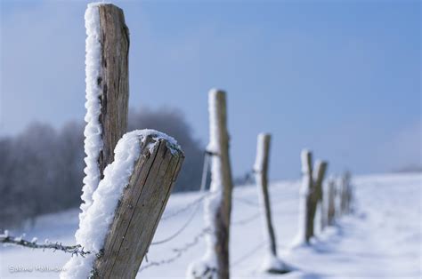 Wallpaper Fence Cold Snow Winter Outdoors 2560x1700