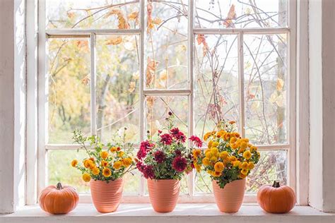 24 Beautiful Indoor Windowsill Flower Garden Ideas Decor Home Ideas