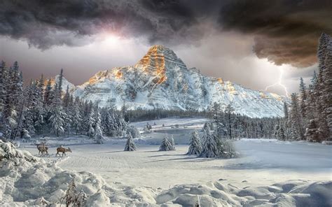 Mount Chephren Canadian Rockies Vally Winter Landscape Forest