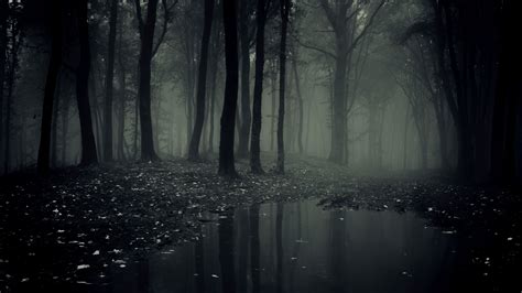Dark Forest Wallpapers Top Free Dark Forest Backgrounds Wallpaperaccess