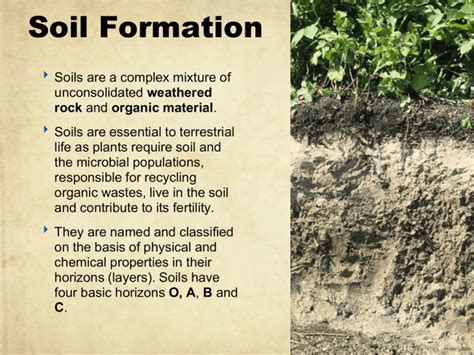 Soil Formation Warta Mhs Science