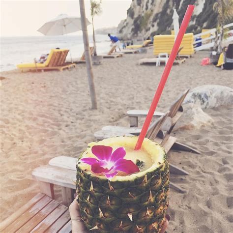 Drinking three liters of water a day for four weeks will change your body. Pineapple Heaven Paradise Cove Malibu | Paradise cove ...