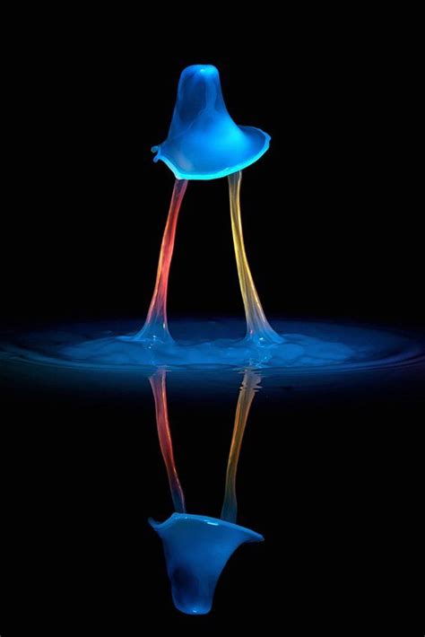 Liquid Art From Markus Reugels Water Drop Photography High Speed