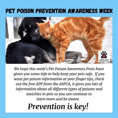 Poison Awareness And Prevention Caat Community Corner Canadian