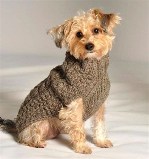 Free Knitting Patterns For Small Dog Sweaters Web 12 Free Dog Sweater