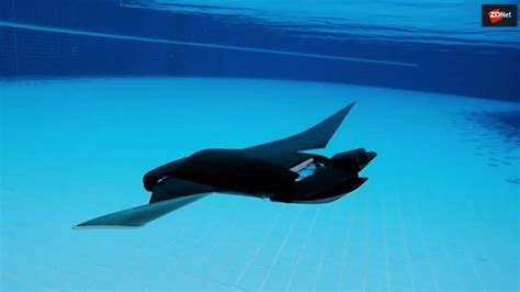 Watch This Hypnotic Robotic Manta Ray Glides Through Water Silently