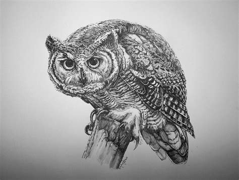 Great Horned Owl By Concini On Deviantart Owls Drawing Bird Drawings