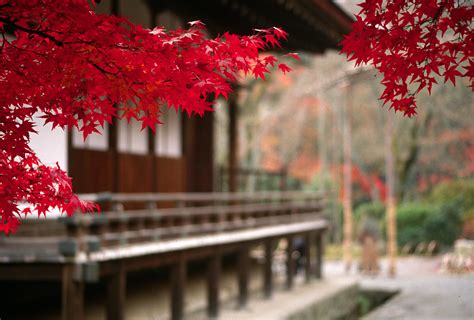 Free Download Japan Wallpapers And Images Japanese Temple Scenery