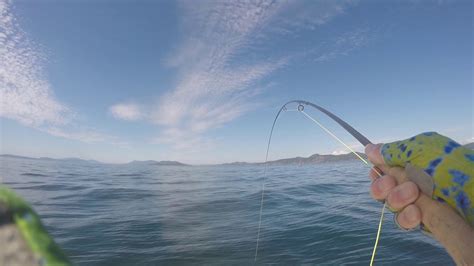 San Juan Islands Fly Fishing In 30 To 50 Feet Of Saltwater Youtube