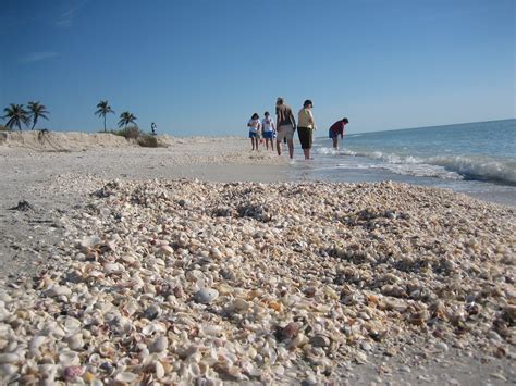 Changing Shoreline At Blind Pass I Love Shelling