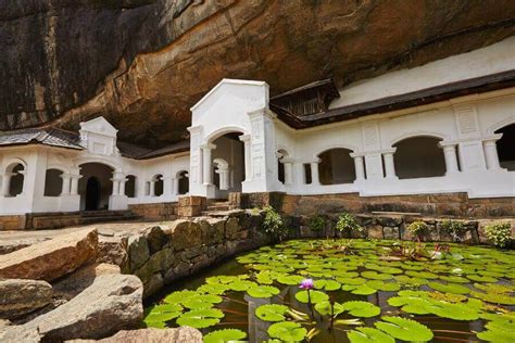 It is a natural source of energy and provides more than 10,000 mg of dietary fiber per cup. Lo mejor de Sri Lanka Verano - Grandes Viajes Sildavia