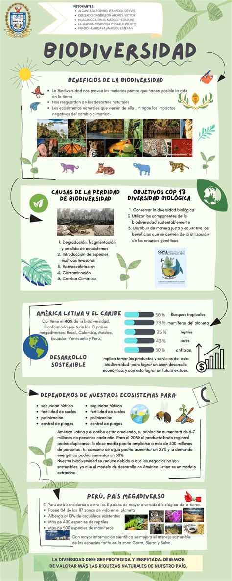InfografÍa Sobre Biodiversidad En El PerÚ Esquemas Y Mapas