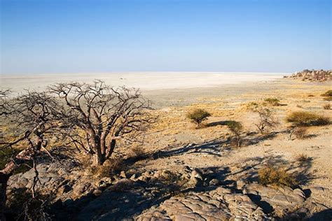 Makgadikgadi Pans National Park Ervaringen Botswana