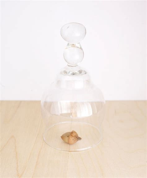 Glass Cloche Dome Bell Jar Display Set Small Object 1500 Via Etsy