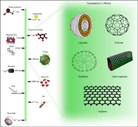 Comparison Of The Sizes Of Nanomaterials With Those Of Other Common
