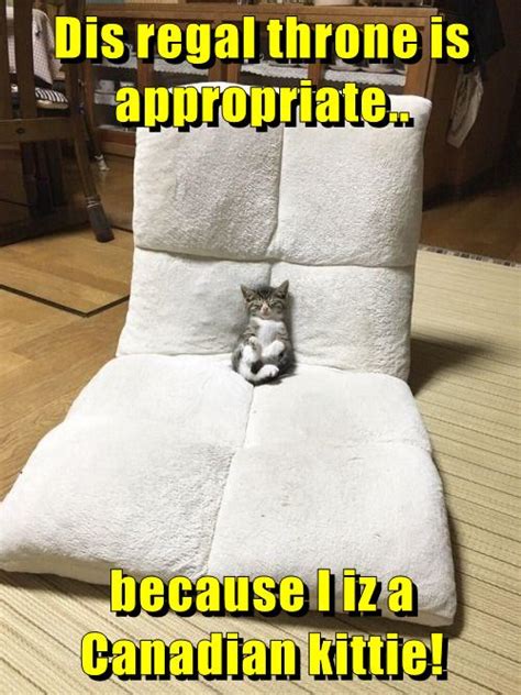 Dis Regal Throne Is Appropriate Lolcats Lol Cat Memes Funny