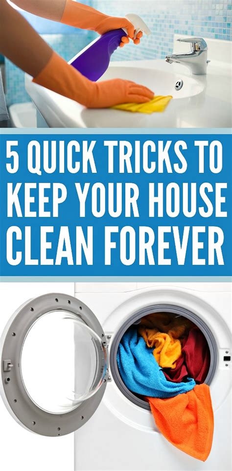 5 Quick Tricks To Clean Your House Cleaning Tips Written Reality