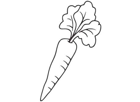 Gambar Mewarnai Sayuran Wortel Mewarnai Gambar Tni Drawing Image