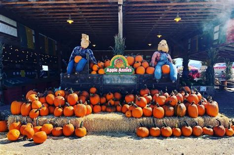 5 Best Pumpkin Patches In Arizona Fabulous Arizona