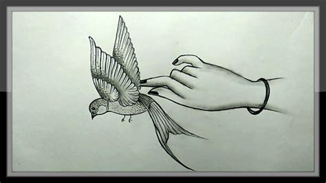Flying Bird Art Drawing Robin Stdenny