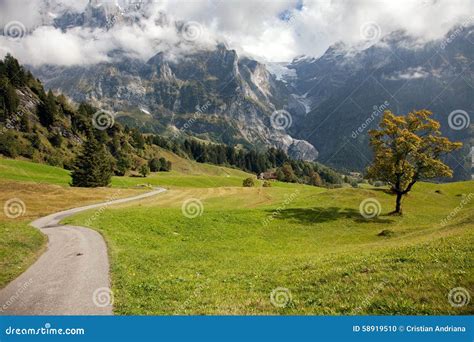 Mountain Peaks Streams And Meadows In Grindelwald Switzerland Stock