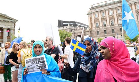Swedish Minister Admits Sex Attack Increase In U Turn World News Uk