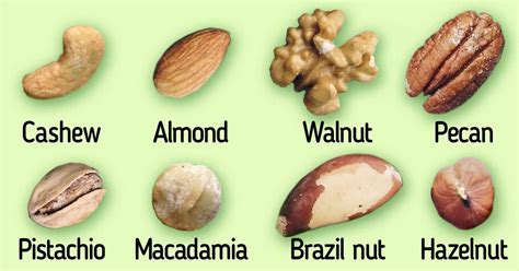 Guide To Types Of Nuts 5 Minute Crafts
