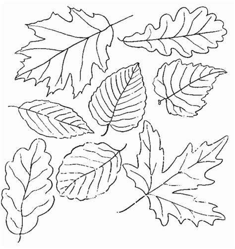 Leaves Coloring Pages To Print Coloring Home
