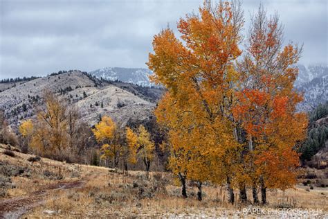 Fall In Wyoming Western Wyoming Scott Papek Fine Art