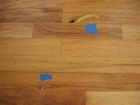 Clean the damaged area with a stiff brush to remove any loose paint or rotted wood. Wood Filler Tips | Best wood flooring, Wood laminate ...