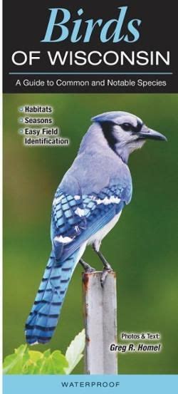 An Easy To Use Waterproof Pocket Size Guide Birds Of Wisconsin