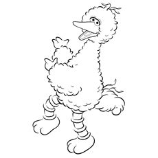 Find elmo, big bird, cookie monster, ernie and bert with these various. Top 25 Free Printable Big Bird Coloring Pages Online