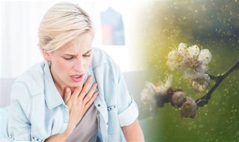 Pollen Count Warning High Count Can Cause Deadly Condition Tips To