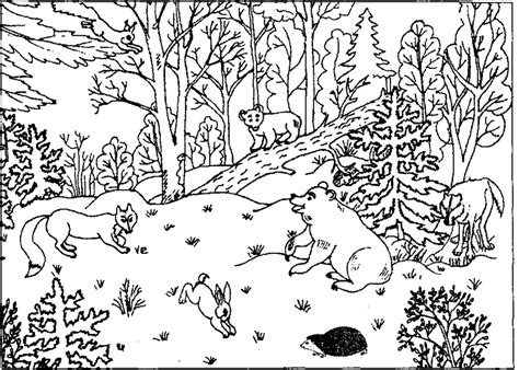 Cartoon Forest Animal Coloring Pages Coloring Pages