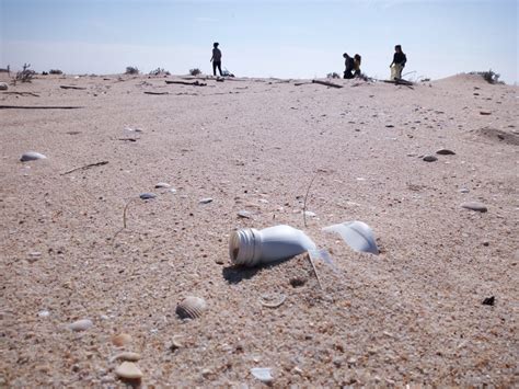 Visível a quilómetros de distância, o violento incêndio destruiu completamente o restaurante estaminé, o único da ilha deserta, em faro.o alerta foi dado às 22h45, mas os trabalhos foram dificultados devido ao facto do acesso à ilha se fazer apenas de barco. 190 voluntários recolheram 1400 quilos de lixo na Ilha Deserta