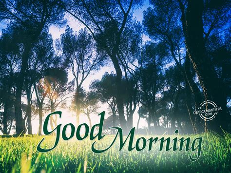 Wish your near and dear ones a very good morning with a beautiful message or poem. Good Morning - DesiComments.com