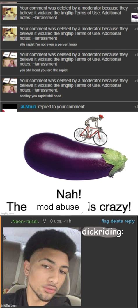Image Tagged In Nah The Dick Riding Is Crazymod Abuse Imgflip
