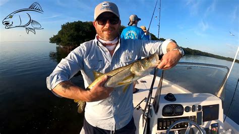 Tampa Bay Snook Fishing Charter Highlights Youtube