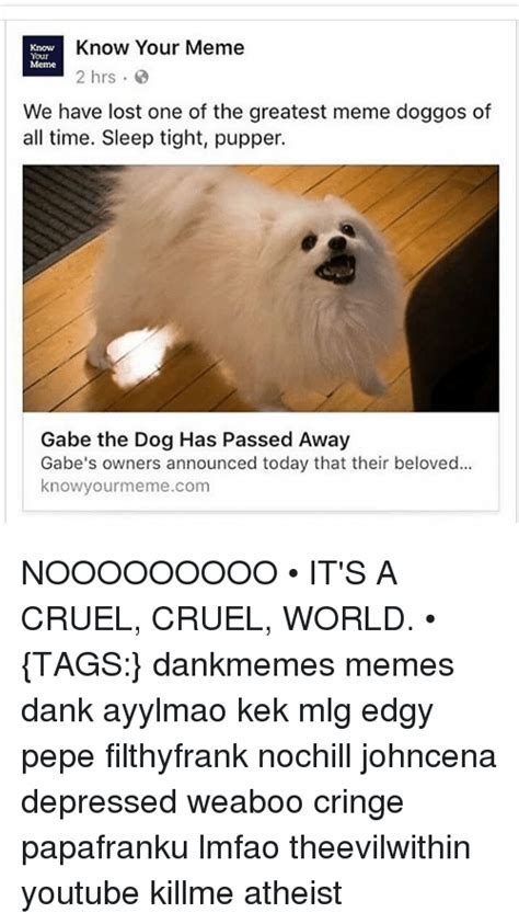 Know Your Meme Know Meme We Have Lost One Of The Greatest Meme Doggos