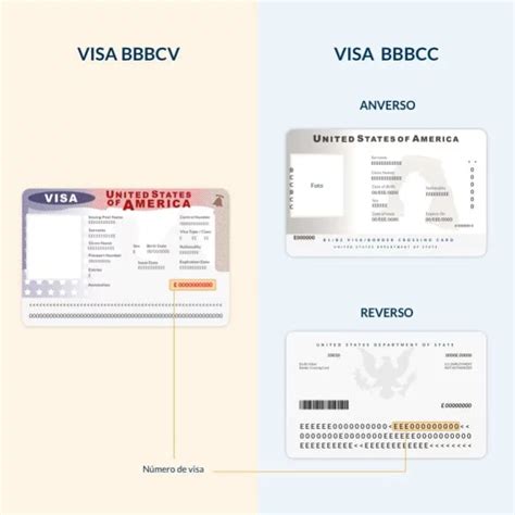 Número De Visa Americana Qué Es Y Dónde Lo Ubico 2024 Ecu11