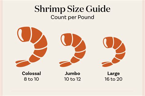 Shrimp Size Guide Everything You Need To Know My Fashion Foot Prints