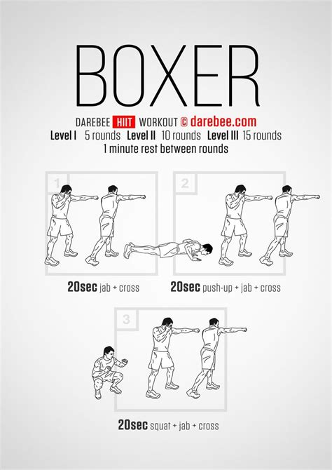 The Boxer Hiit Darebee Workout Boxer Workout Home Boxing Workout